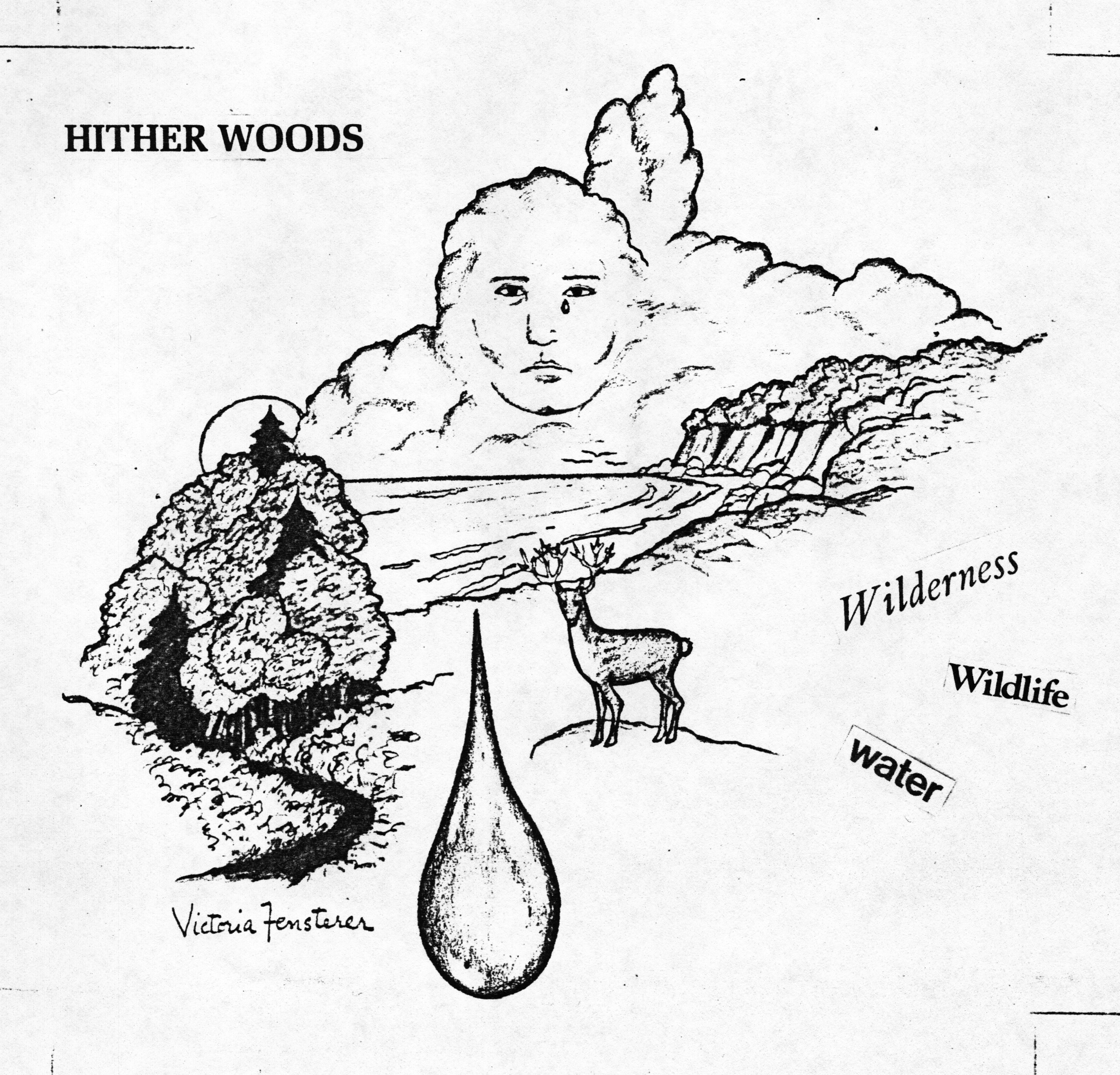 Throwback Thursday – Hither Woods: Wilderness, Wildlife, Water