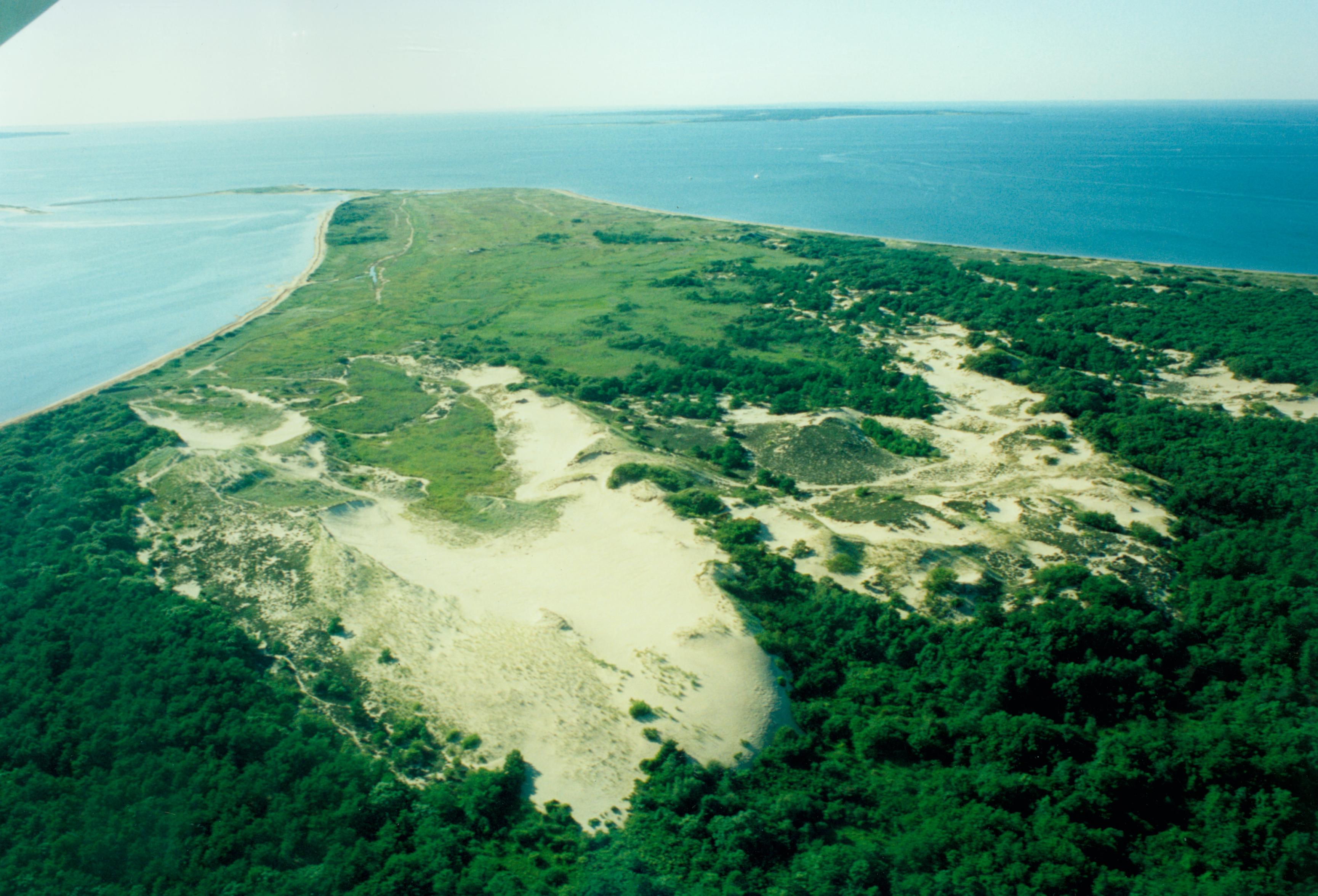 The Walking Dunes