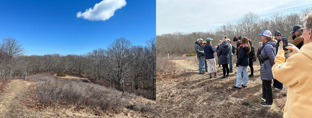 Grassy and wooded landscape with sky and cloud and separate photo of a group of trail walkers.