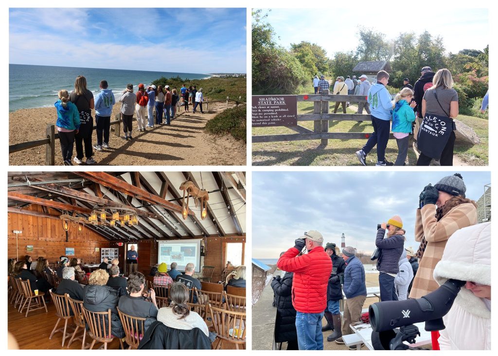 Four photographs of people holding up binoculars in different landscapes.