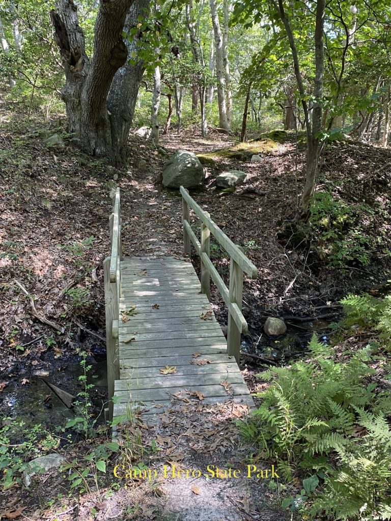 A small wooden bridge crosses a creek in the woods.