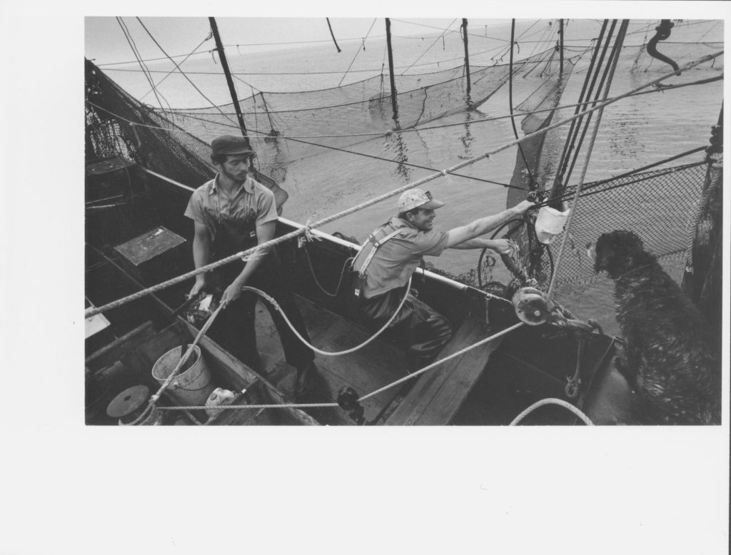 Two fishermen and a dog tending a trap net from boat.